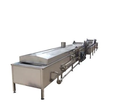 Blanching Machine5